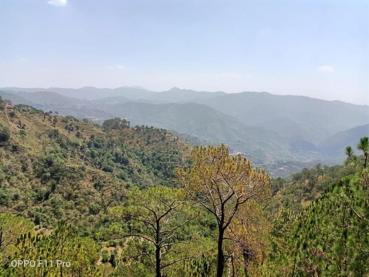 Pine Peak Βίλα Kasauli Εξωτερικό φωτογραφία