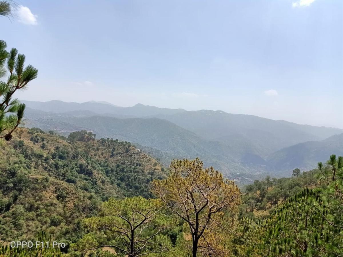 Pine Peak Βίλα Kasauli Εξωτερικό φωτογραφία